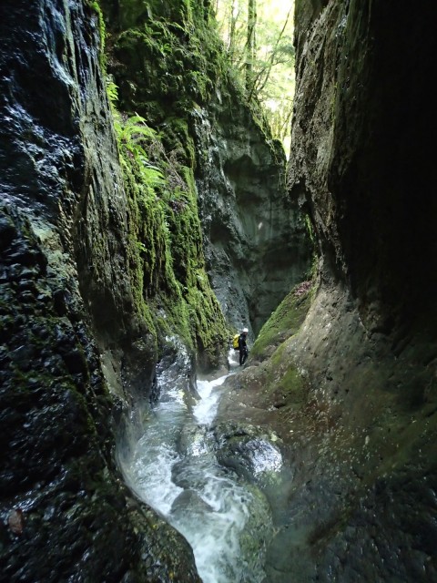 Canyon d'Althagneta