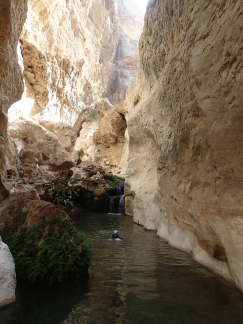 Wadi Taab