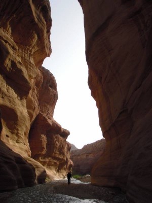 Wadi Hasa (inférieur)