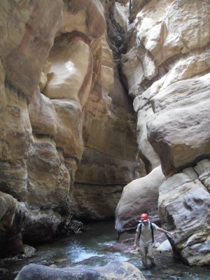 Wadi Zarqa Ma'in (inférieur)