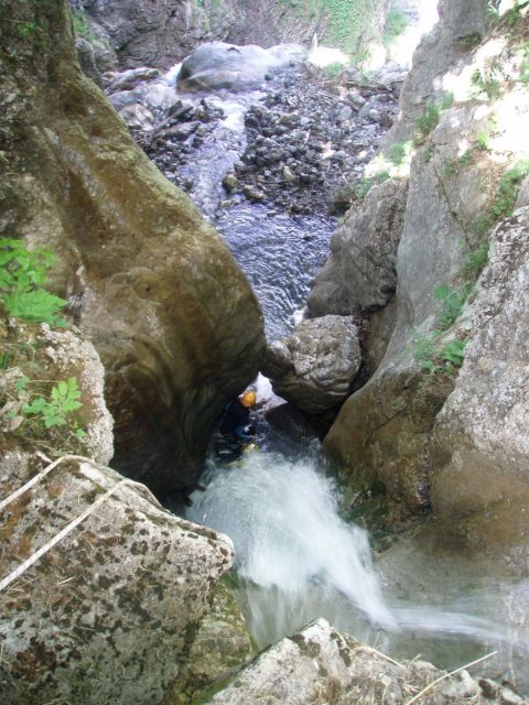 Ruisseau des Farnets