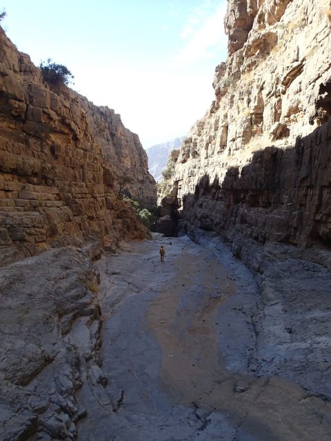 Wadi Kamah