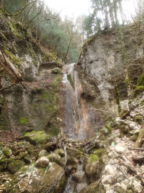Ruisseau de la Fourniat