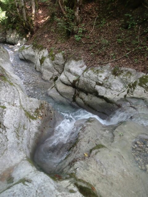 Ruisseau des Pellas