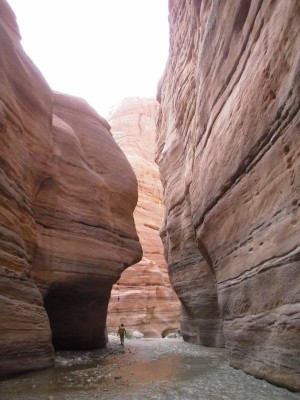 Wadi Hasa (inférieur)