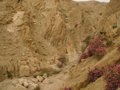Wadi Weida'a