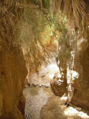 Wadi Weida'a